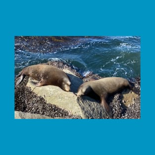 Sea Lions "Slumber Buddies" T-Shirt