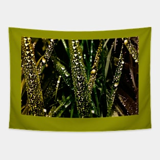 Golden Drops of Dew Tapestry