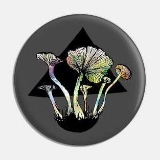 Funnel Chantarelles Pin