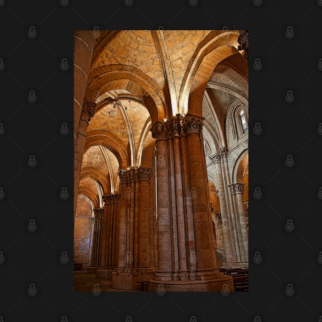 Spain. Salamanca. Old Cathedral. Vaults. by vadim19