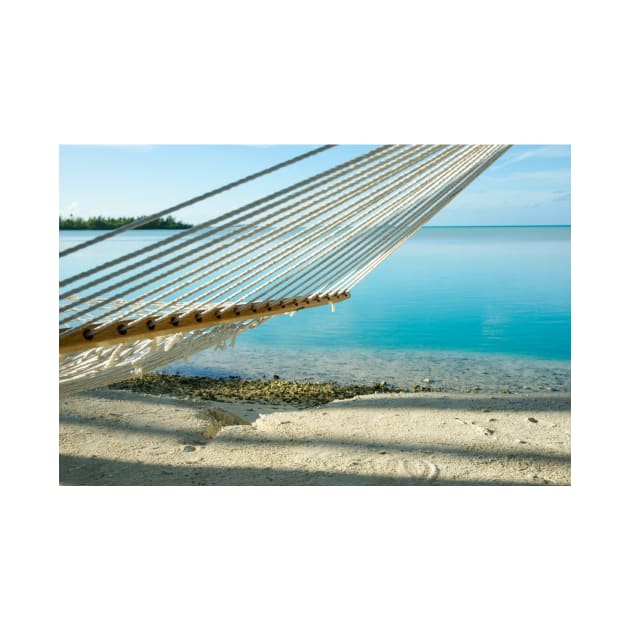 Hammock on tropical island. by brians101