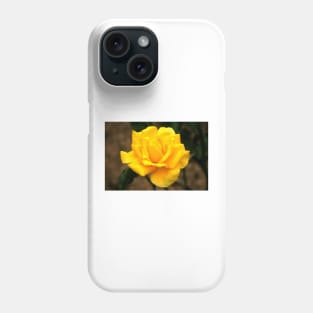 A Kiss From A Rose Phone Case