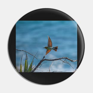 Bee Eater Pin