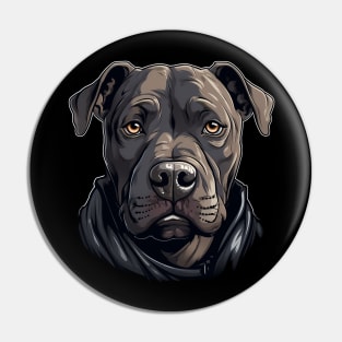 Cute Pitbull Dog - Dogs Pitbulls Pin