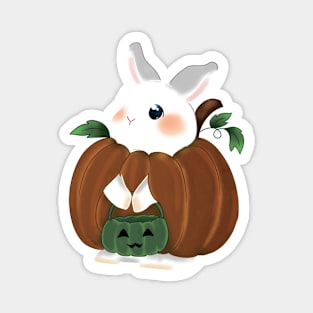 Rabbit Pumpkin _ Bunniesmee Halloween Edition Magnet