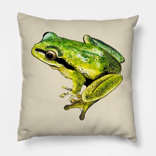 green frog Pillow