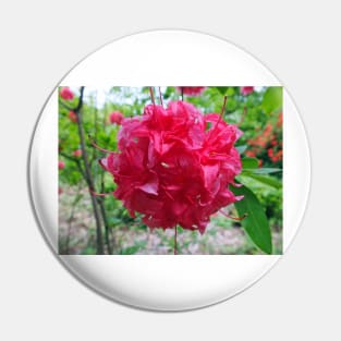 Red Azalea Flowers Pin