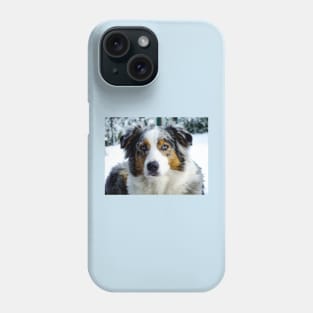 miniature american shepherd blue merle third Phone Case