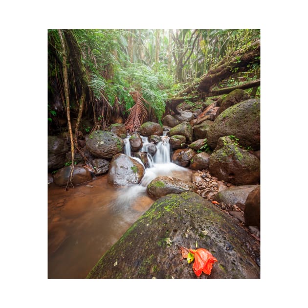 Waterfall in the Forest by jswolfphoto