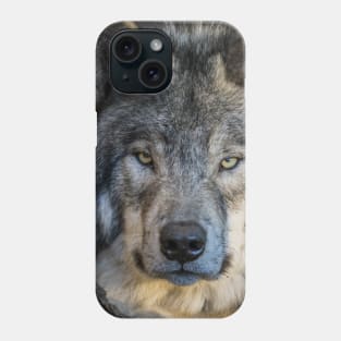 Timber Wolf Portrait Phone Case