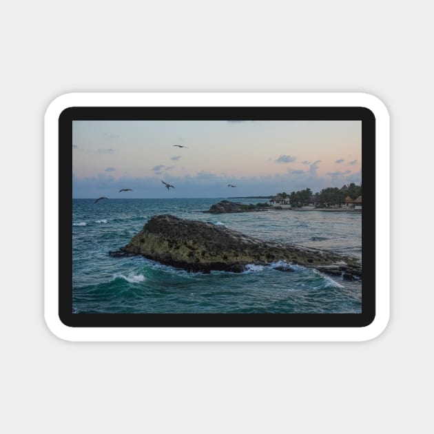 Tulum Mexico Pelicans flying over Tulum beach at sunset MX Magnet by WayneOxfordPh