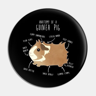 Abyssinian Guinea Pig Anatomy Pin