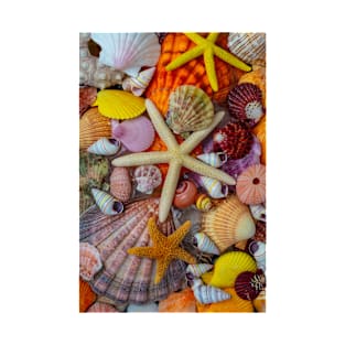 Pile Of Tropical Seashells And Starfish T-Shirt