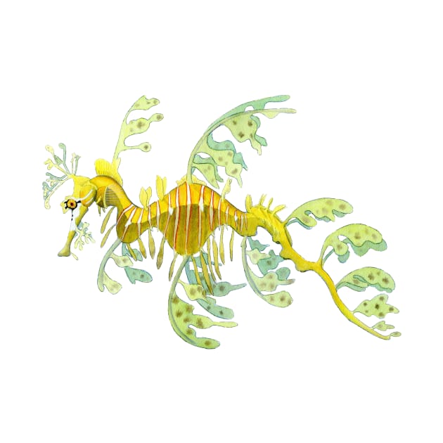 Leafy Sea Dragon by laurenpenney