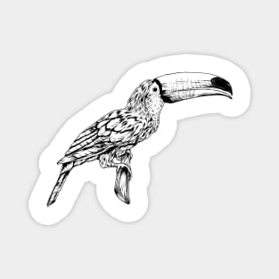 Line drawing - toucan Magnet