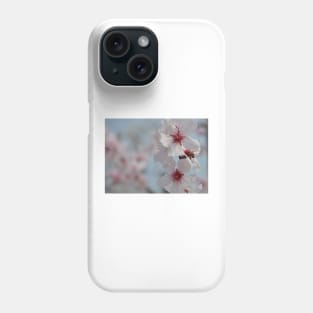 Bee in Almond Flower Phone Case