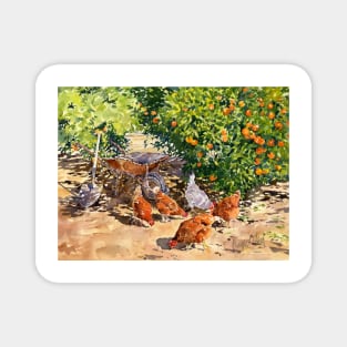 Hens In My orange Grove Magnet