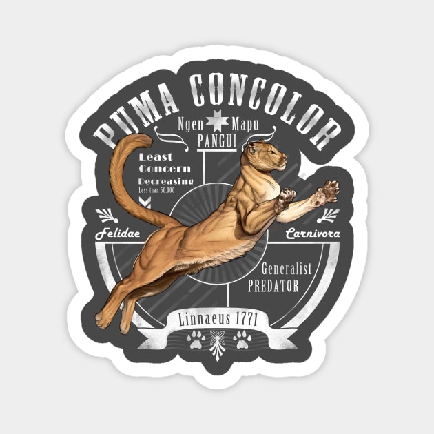 Puma concolor Magnet by uialwen