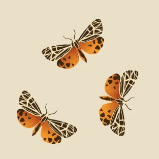 Virgin Tiger Moths T-Shirt