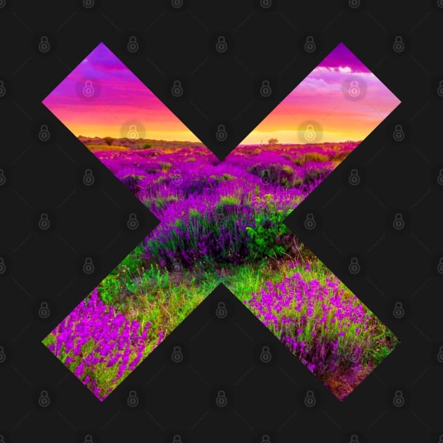 Purple Lavender Field • Letter X Background Cross Shaped Window Aperture. by Kushteez