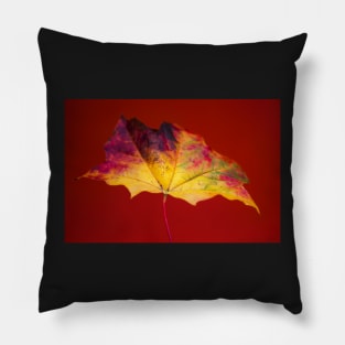 Autumn Maple Leaf Pillow