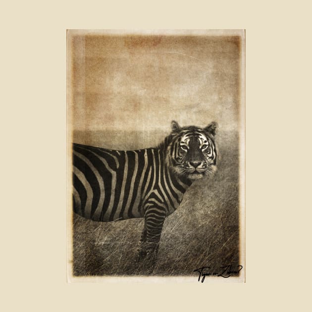 Tiger and Zebra Surreal mashup by DavoliShop