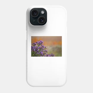 Colors of the Prairie Phone Case