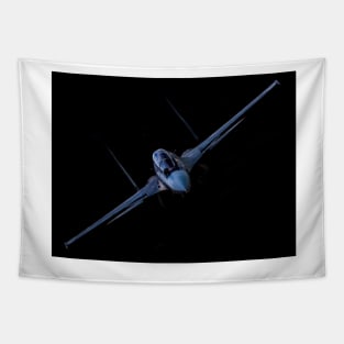 Sukhoi SU-30 Flanker Tapestry