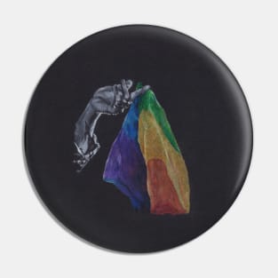 Pride Flag HS Pin