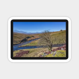 Meldon Hill and Golden Mea Magnet