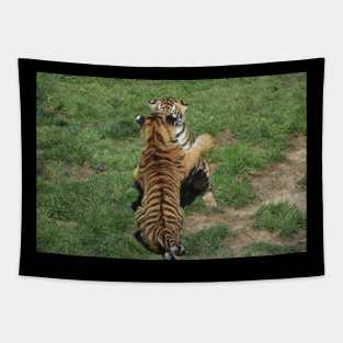 Tiger Cubs Tapestry