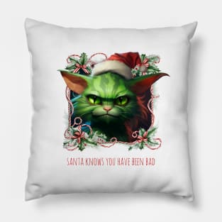 Christmas Grinche Cat / Santa knows you've been bad Pillow