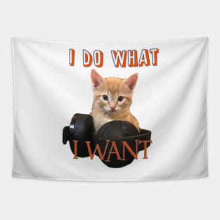 Gamer Cat - I do what I want Tapestry