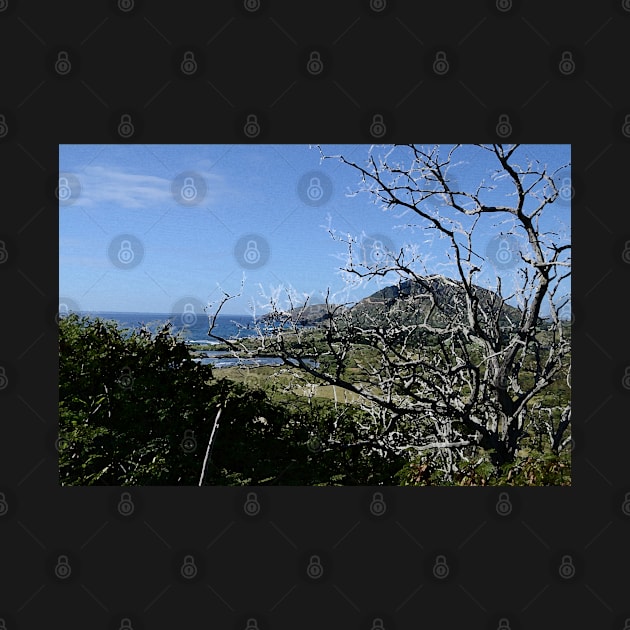 View from a Hilltop in Oahu by seacucumber