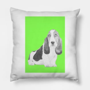 Basset Hound Puppy in Green Pillow
