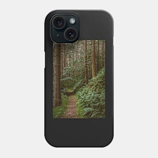 Through the Pine forest Phone Case