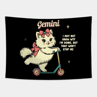 Gemini Persian Kitty Scooter Tapestry