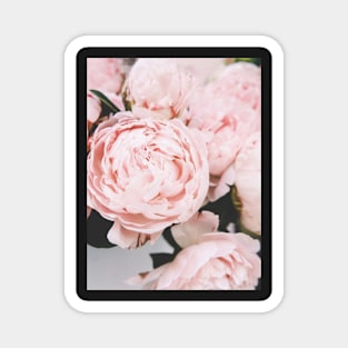 Flowers print, Pink, Pastel, Fashion print, Scandinavian art, Modern art, Wall art, Print, Minimalistic, Modern Magnet