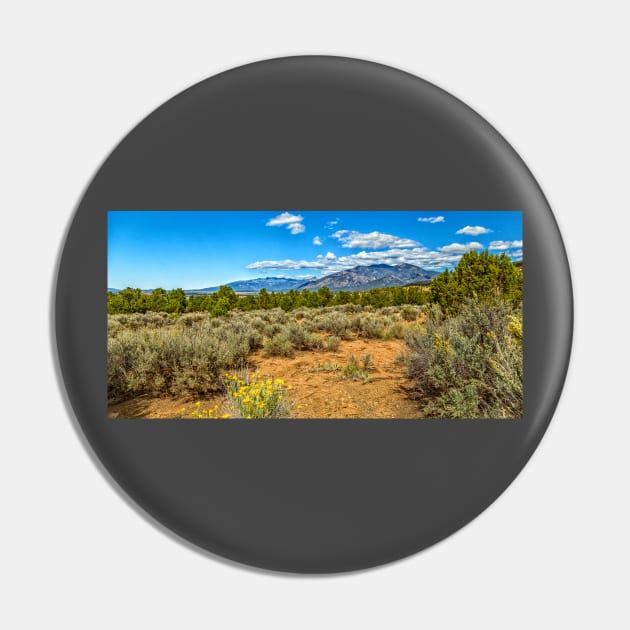 Kit Carson National Forest Pin by Gestalt Imagery