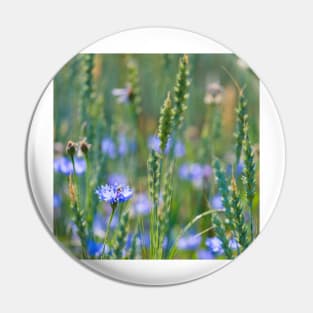 Cornflower and wheat field Pin