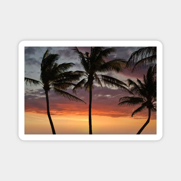 Tropical Sunset Magnet by briankphoto