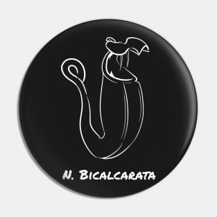 Nepenthes Bicalcarata Pitcher Plant Carnivorous plant gift Pin