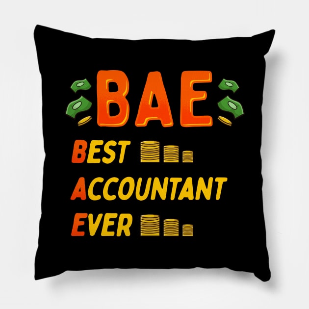 BAE: Best Accountant Ever Cute & Funny Accounting Pillow by theperfectpresents