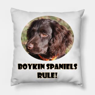 Boykin Spaniels Rule! Pillow