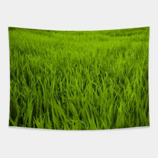 SCENERY 95 - Green Grass Field Outdoor Land Lawn Tapestry