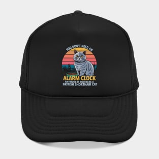 Cat - British Short Hair Cats Hat