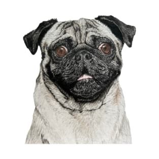 Pug Drawing T-Shirt