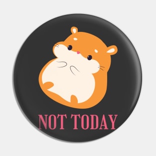 Lazy Hamster Nope not Today funny sarcastic messages sayings and quotes Pin