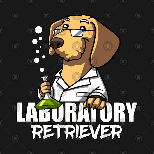 Science Chemistry Laboratory Dog Teacher Labrador Retriever Chemistry