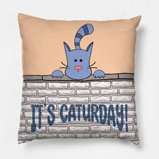 Kitty Cat It's Caturday Pillow